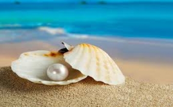 Hãy là viên ngọc trai, đừng là hạt cát